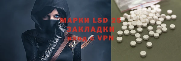 хмурый Алзамай