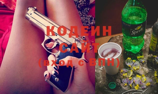 хмурый Алзамай