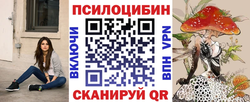 где купить наркотик  Кола  Псилоцибиновые грибы Psilocybine cubensis 