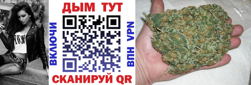 Бошки марихуана индика  Кола 